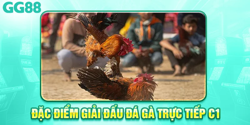 Đặc điểm của giải đấu đá gà trực tiếp c1 
