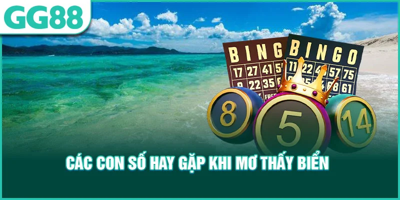 Các con số hay gặp khi mơ thấy biển