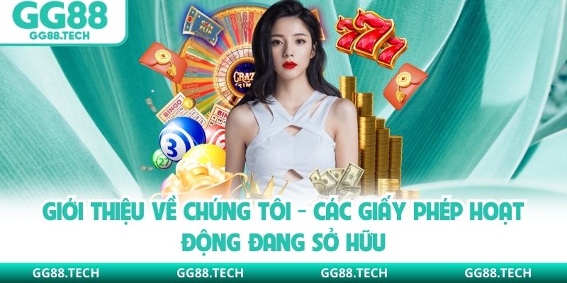 Giới thiệu về chúng tôi - Các giấy phép hoạt động đang sở hữu