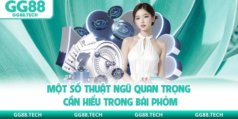 Một số thuật ngữ quan trọng cần hiểu trong bài phỏm